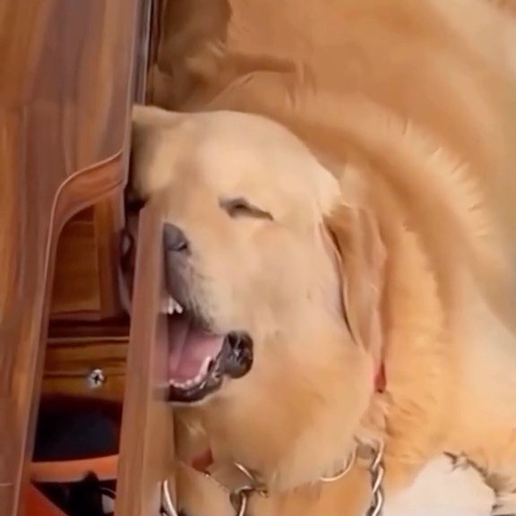  ....fday   'recent posts' 