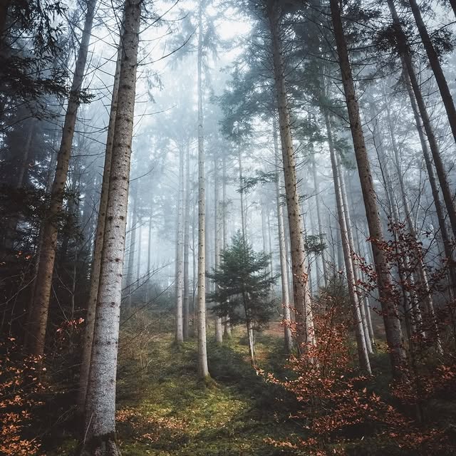  ........vacations   'recent posts' 