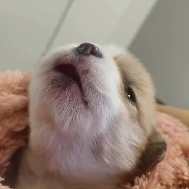  ......s.club   'recent posts' 