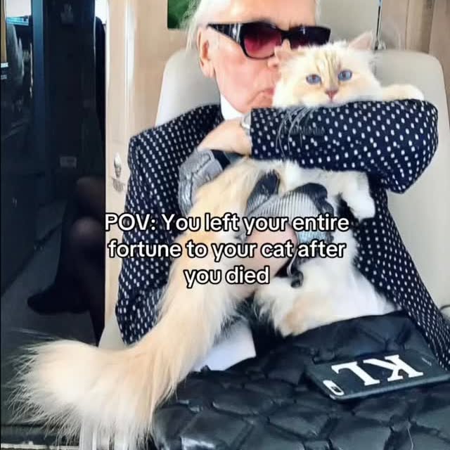  .....ycoke   'recent posts' 