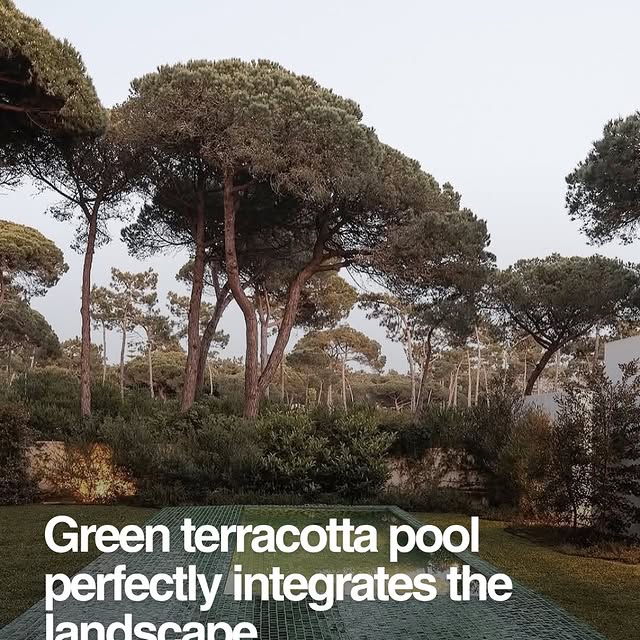  ....dose   'recent posts' 