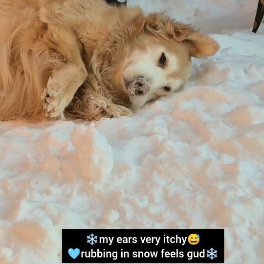  ..ps   'recent posts' 