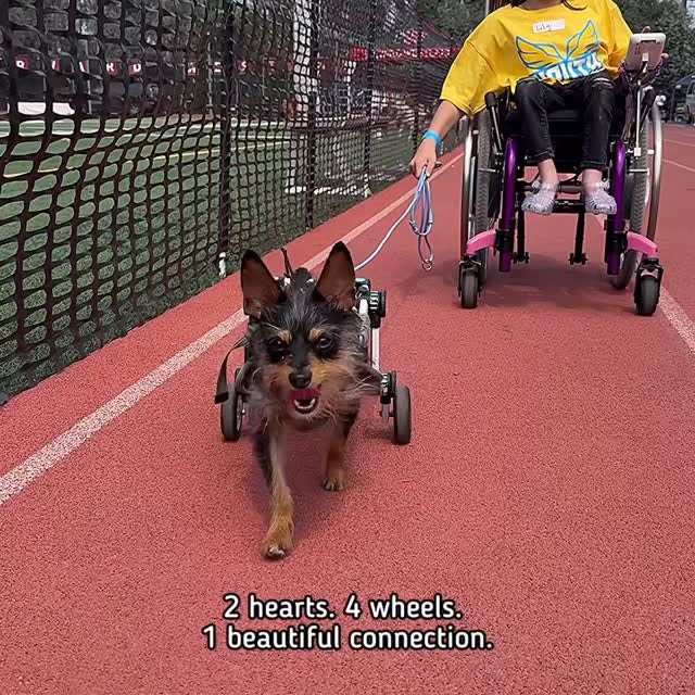  ........malsgram   'recent posts' 