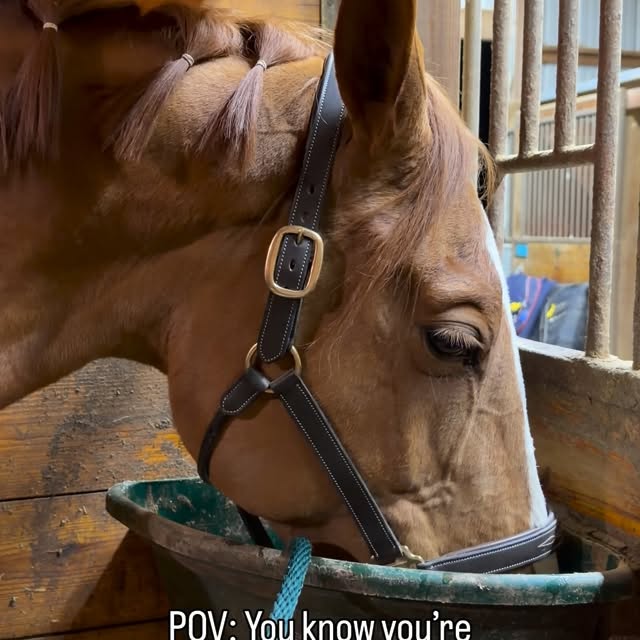  .....hulse   'recent posts' 