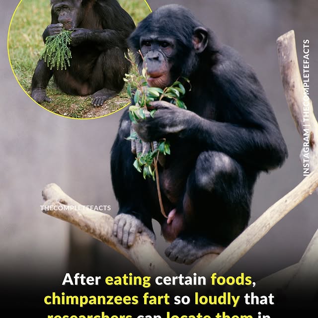  ........etefacts   'recent posts' 