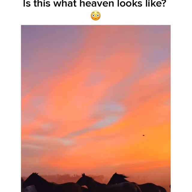  ..obe   'recent posts' 