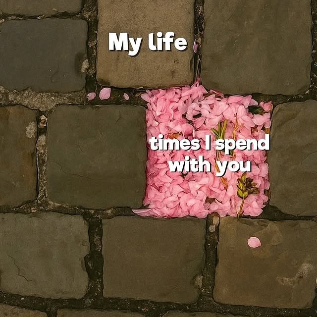  .........tthiswall   'recent posts' 