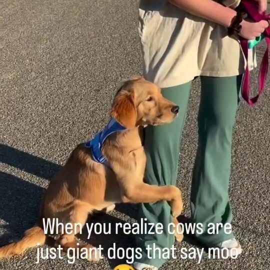  ......psworld   'recent posts' 