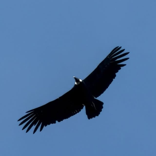  .......tamundos   'recent posts' 