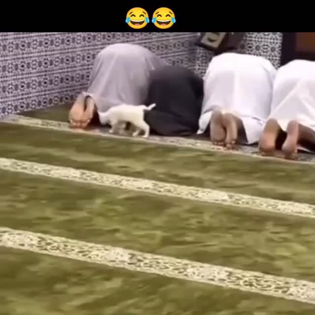  ...slab   'recent posts' 