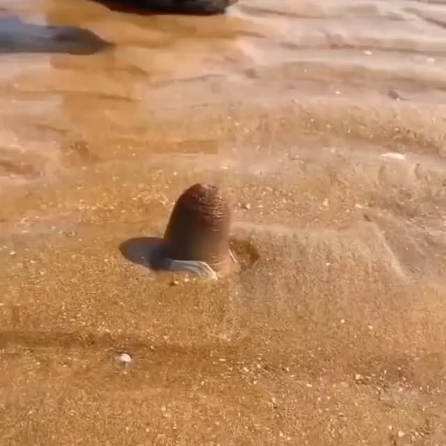  ......naturee   'recent posts' 