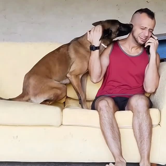  ........malsgram   'recent posts' 