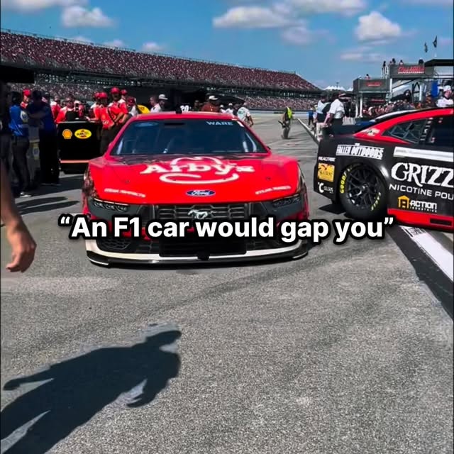  ......aneware   'recent posts' 