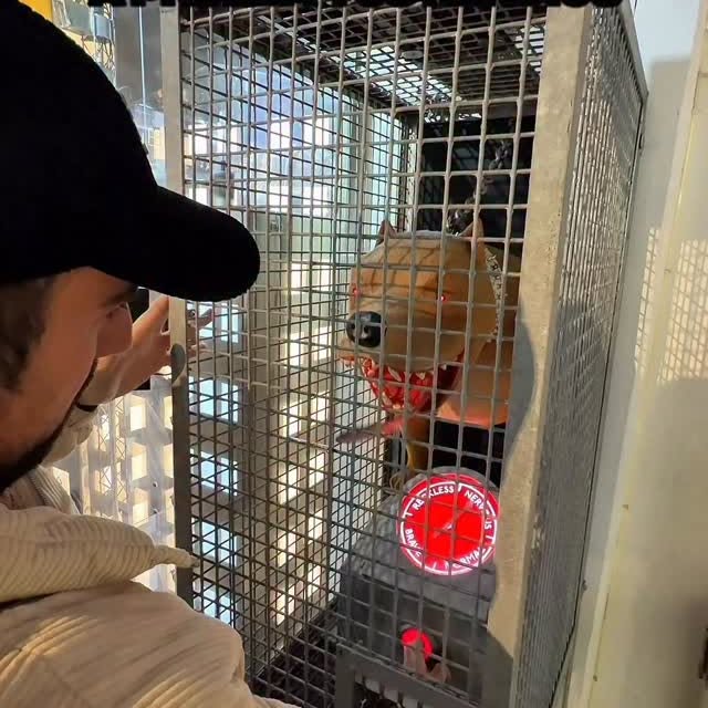  ........esoficial   'recent posts' 