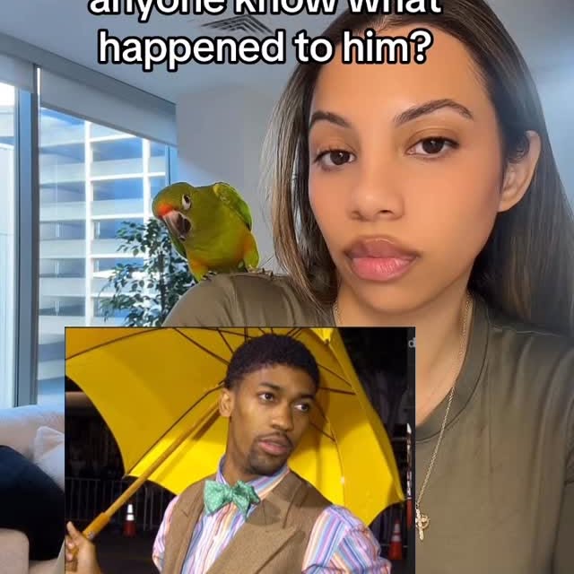  ......ichelle   'recent posts' 