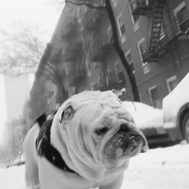  ......rwhite   'recent posts' 