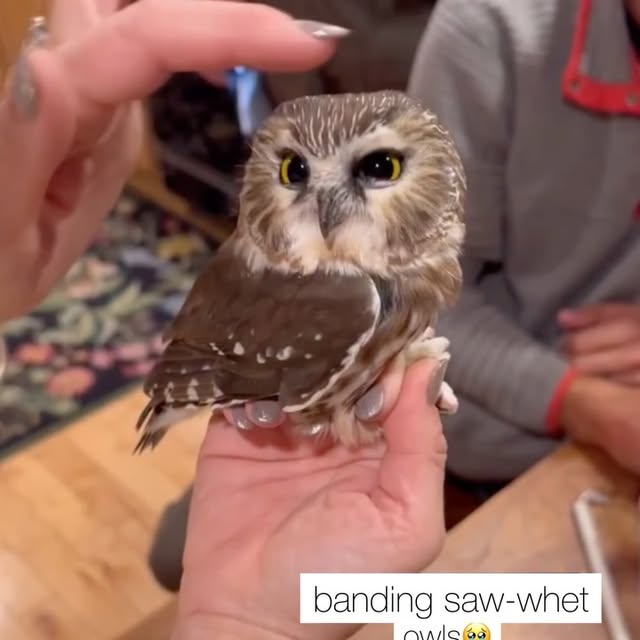  ........malsgram   'recent posts' 