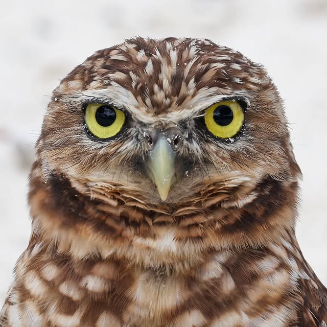  .....yland   'recent posts' 