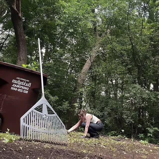  .......e_raine   'recent posts' 