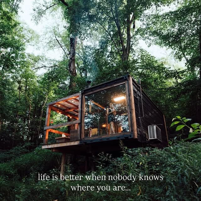  .......sespics   'recent posts' 