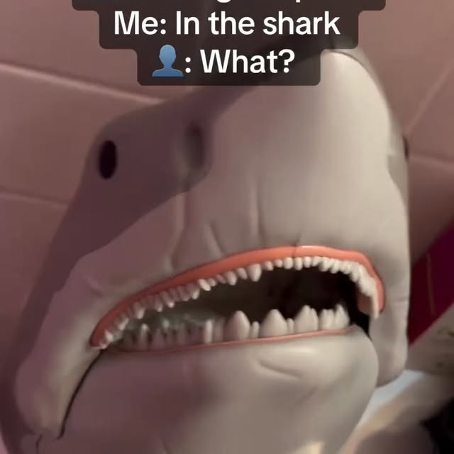  .....otrain   'recent posts' 