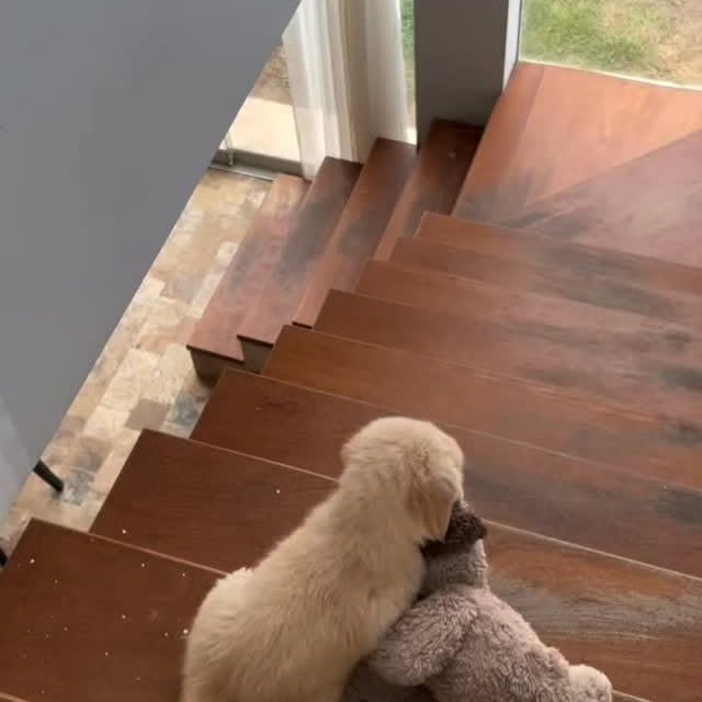  .......page_   'recent posts' 