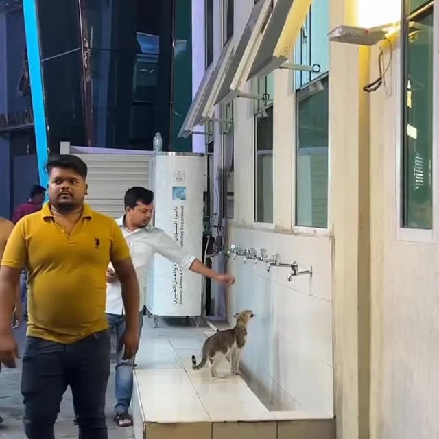  .........onanimals   'recent posts' 