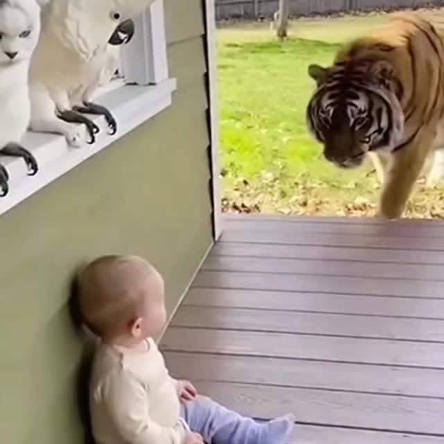  .......plorers   'recent posts' 