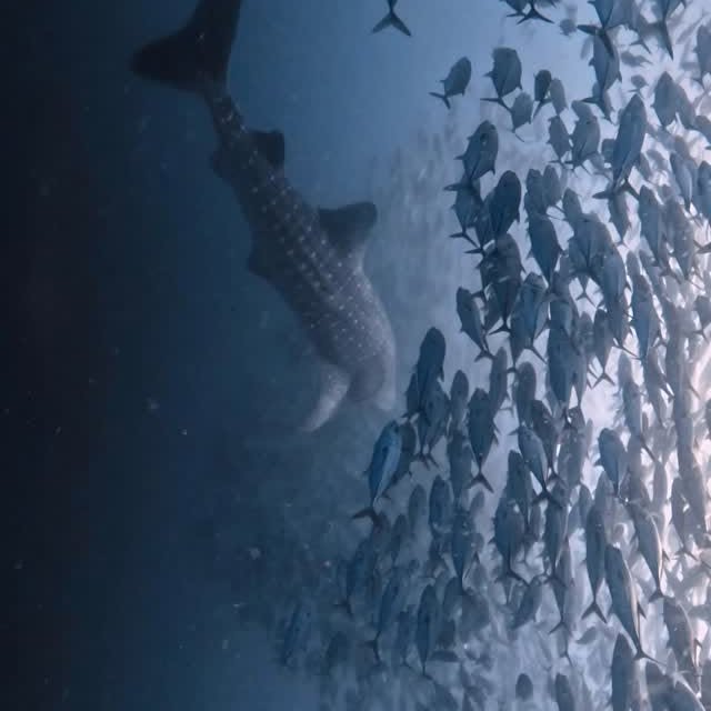  ......uecoast   'recent posts' 