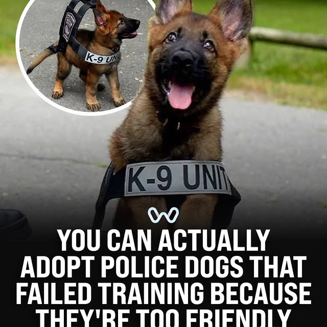  ........alth_club   'recent posts' 