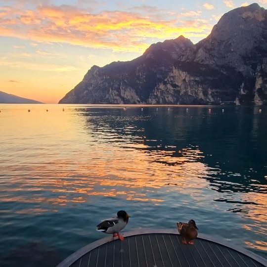  .......onavida   'recent posts' 