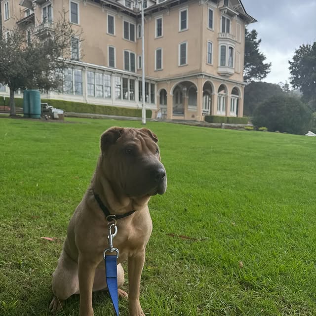  ......i.world   'recent posts' 