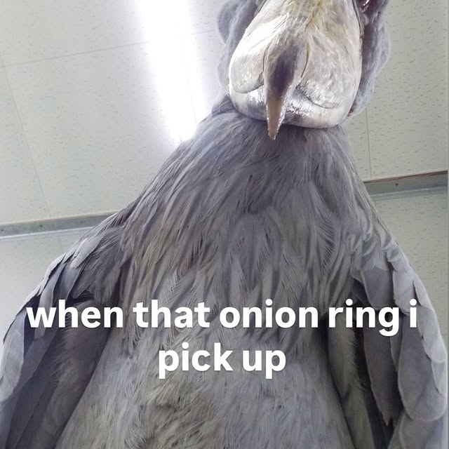  ..........rdoftheday   'recent posts' 