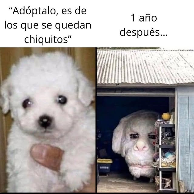  .....nanzis   'recent posts' 