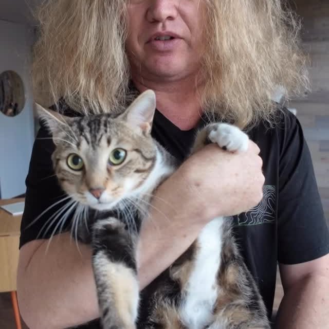  ......adamus   'recent posts' 