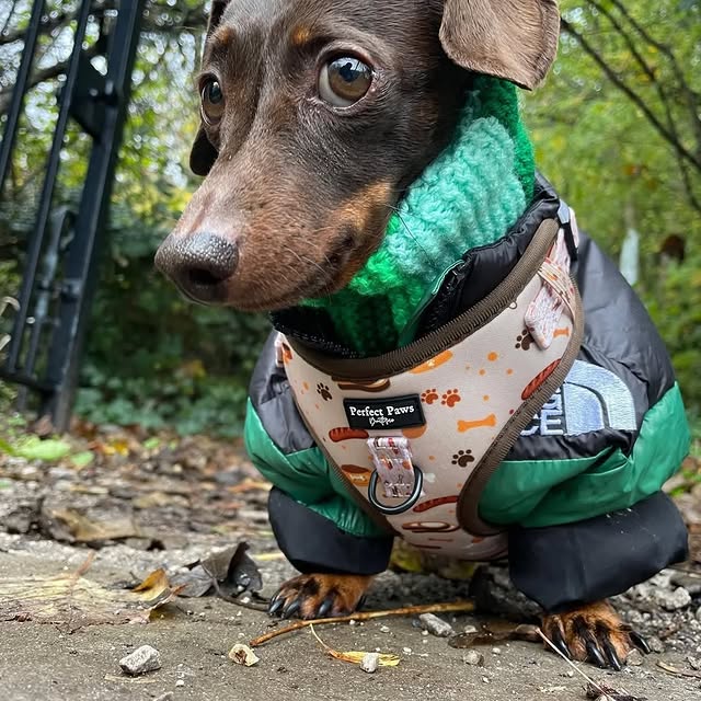  ..........fan.club_   'recent posts' 