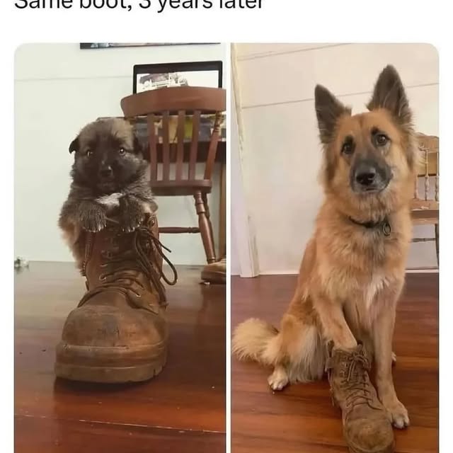  ....iming   'recent posts' 