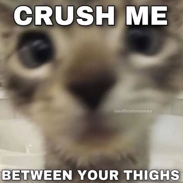  ........lykittens   'recent posts' 