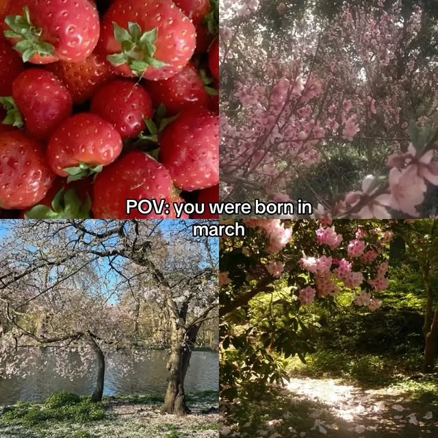  ....oful   'recent posts' 