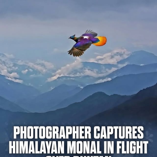  ......sfever   'recent posts' 