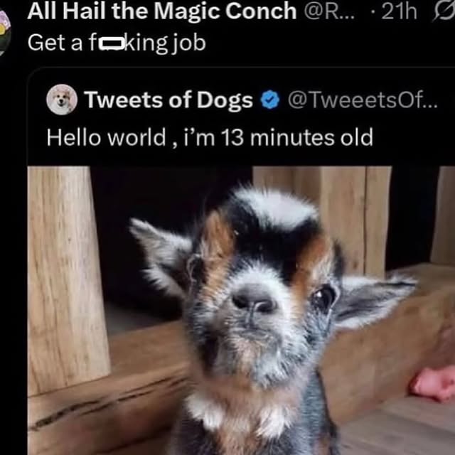  ....memes   'recent posts' 