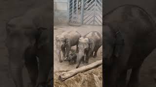  .....rthTv  'recent videos' 