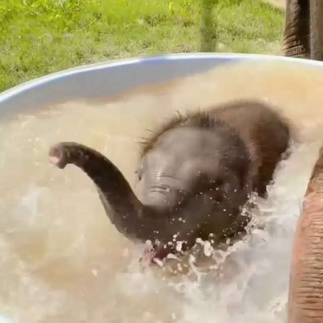  ........sofworld   'recent posts' 