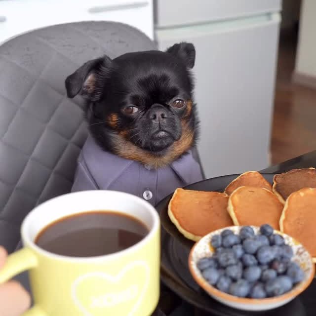  .......uapuppy   'recent posts' 