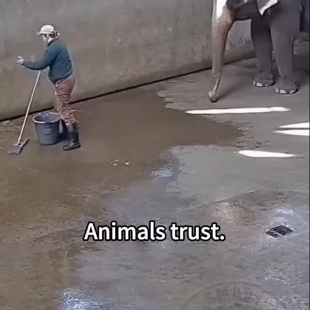  .....nly.ai   'recent posts' 