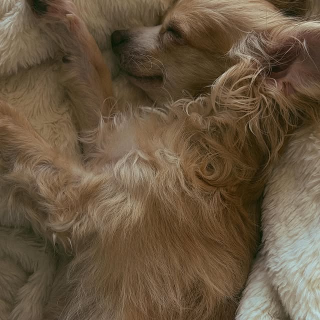  ........adkinson   'recent posts' 