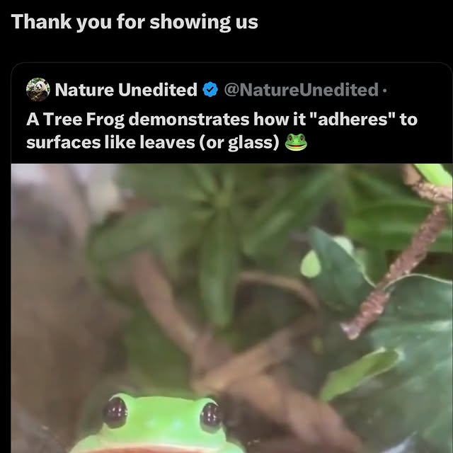  ......rldpage   'recent posts' 