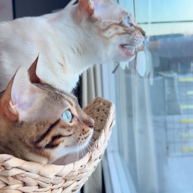  ......kekkek   'recent posts' 