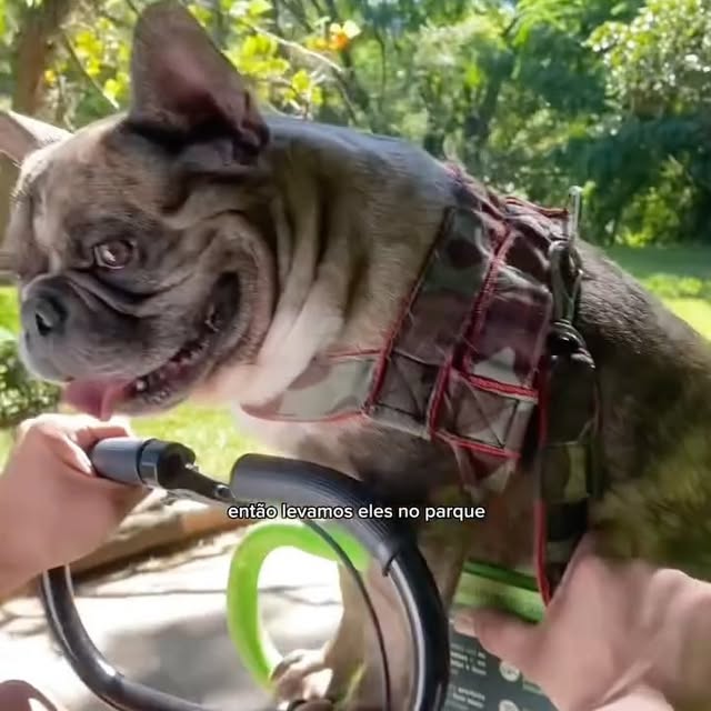  ......allazon   'recent posts' 