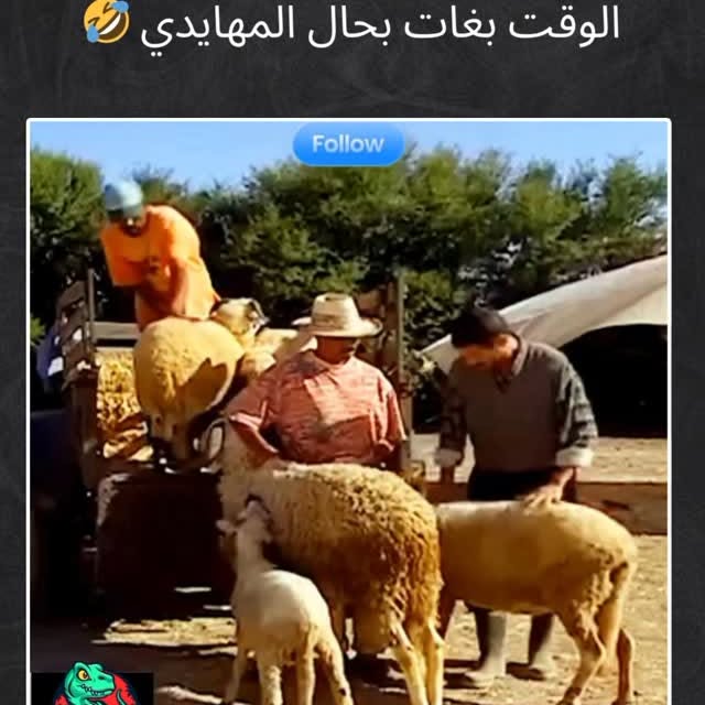  ....temma   'recent posts' 
